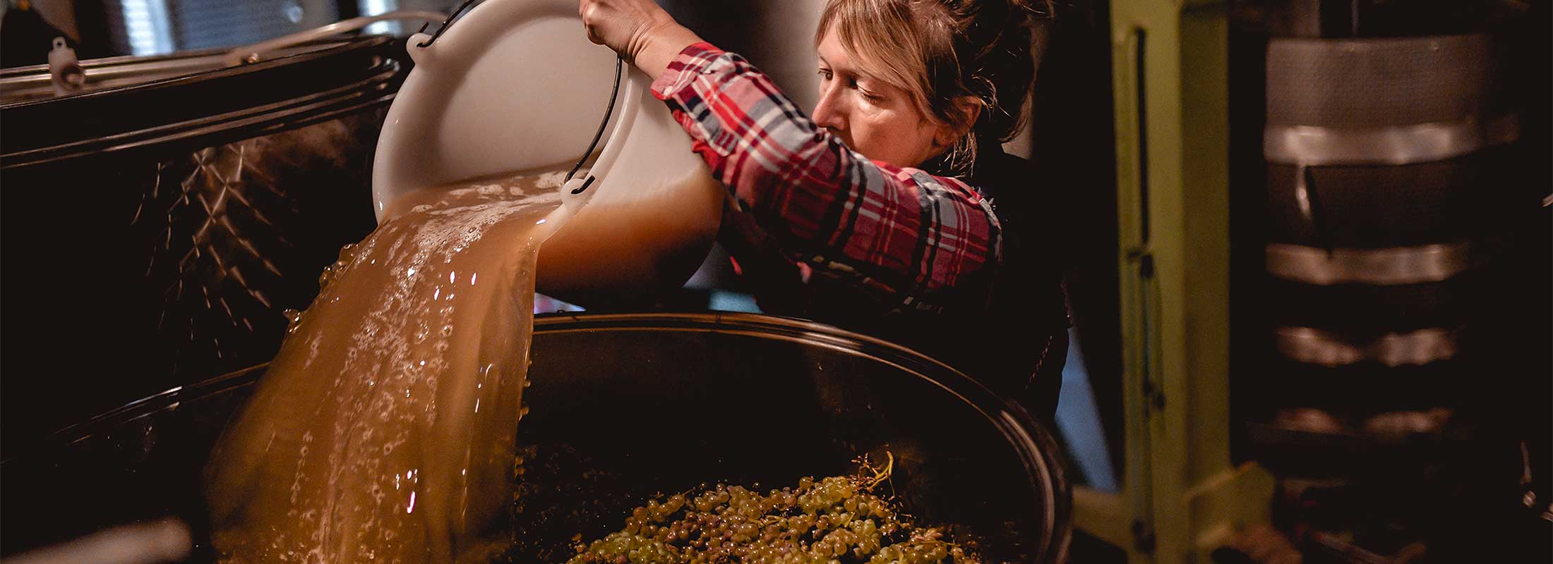 Winemaker pours wine back over grape mash